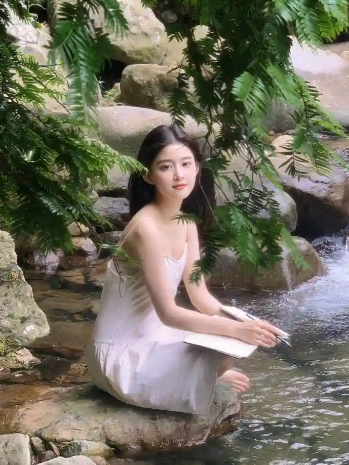 布吉岛下载收入增长曲线