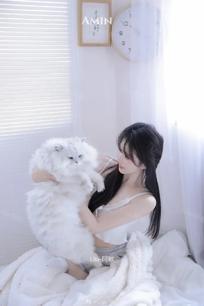 抖音插件数据图表