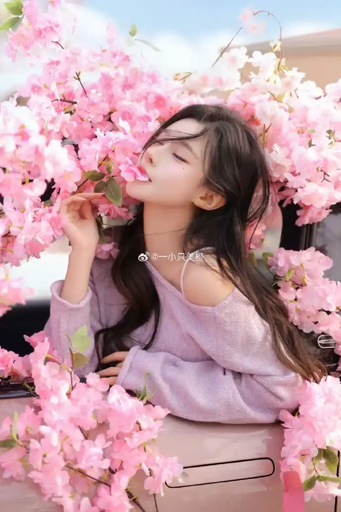 女神异闻录下载战斗画面